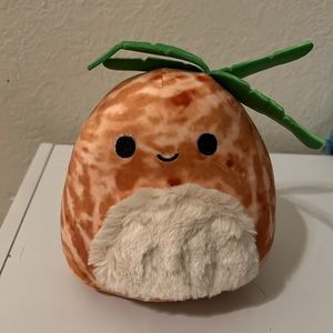 🌴Walley the Palm Tree Squishmallow